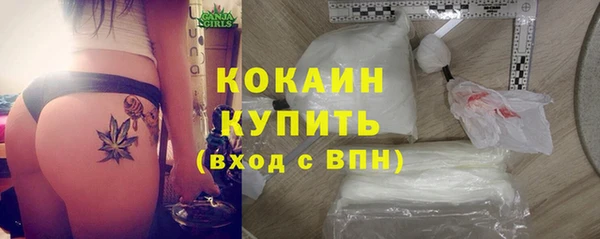 мяу мяу мука Бородино