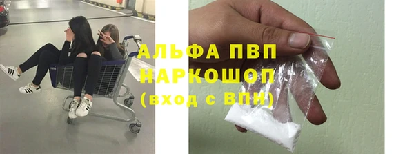 мяу мяу мука Бородино