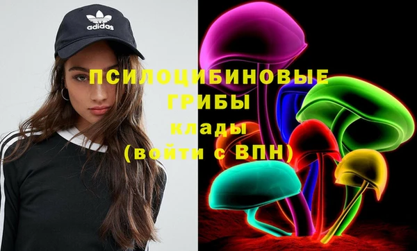 спиды Бронницы