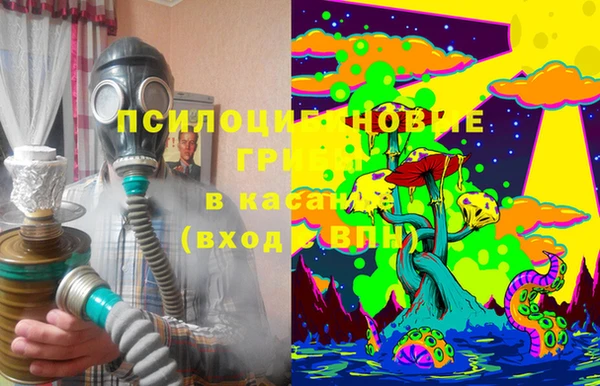 спиды Бронницы