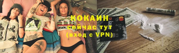 мяу мяу мука Бородино