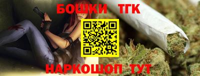 гашик Гагарин