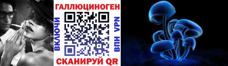 Псилоцибиновые грибы Psilocybine cubensis  Дзержинск 