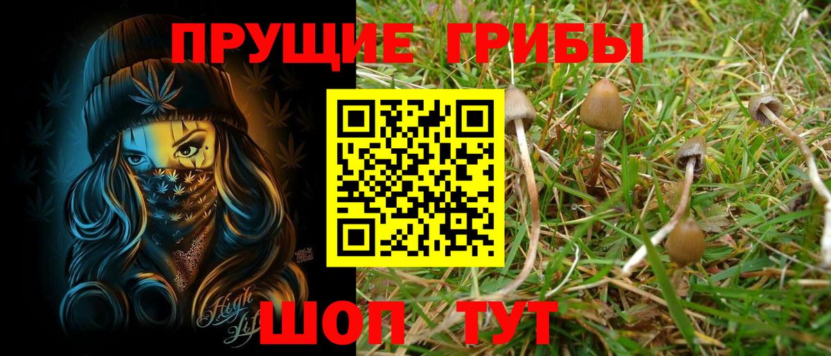Псилоцибиновые грибы Psilocybe  Галлюциногенные грибы мицелий  Вход с VPN  Дзержинск 